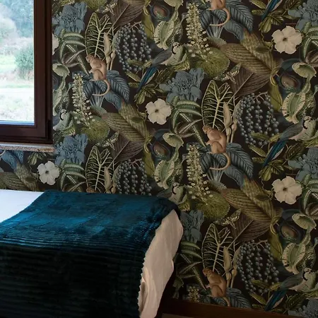 Luxury Singular Carolina *