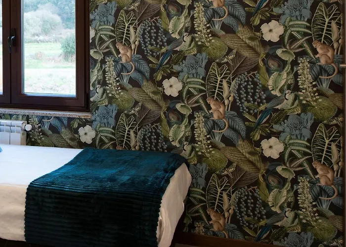 Luxury Singular Carolina *