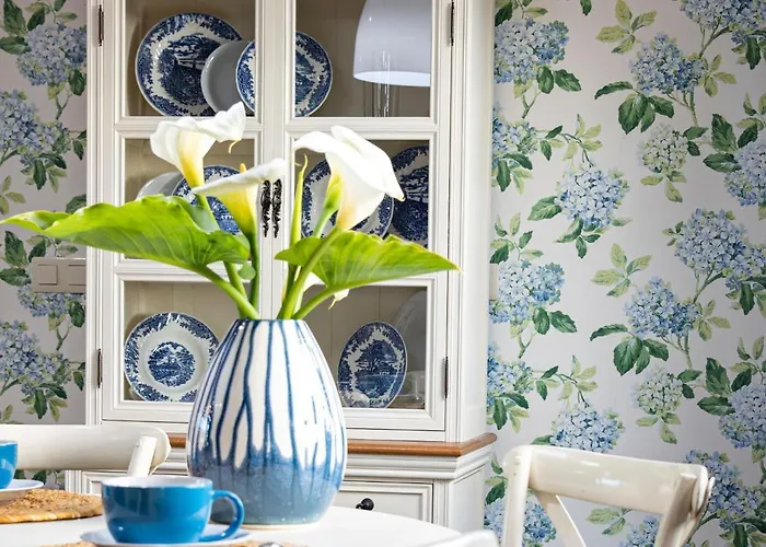 Luxury Singular Carolina *